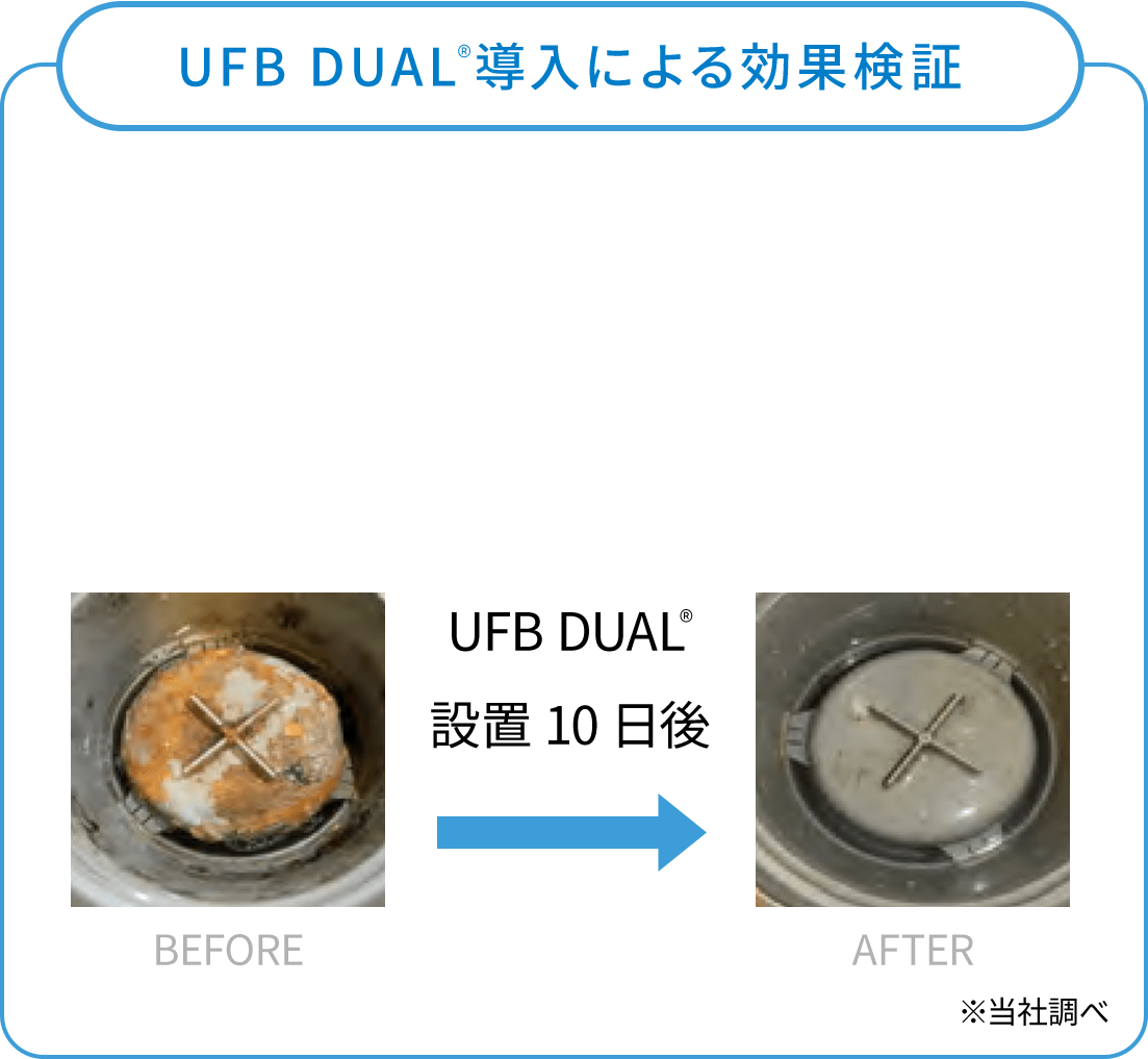 UFB DUAL&reg;️ 導入による効果検証